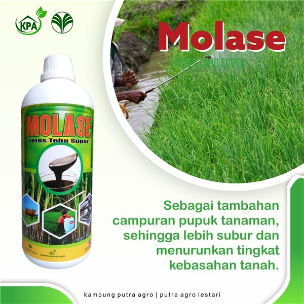 Meningkatkan Nafsu Makan dan Berat Badan