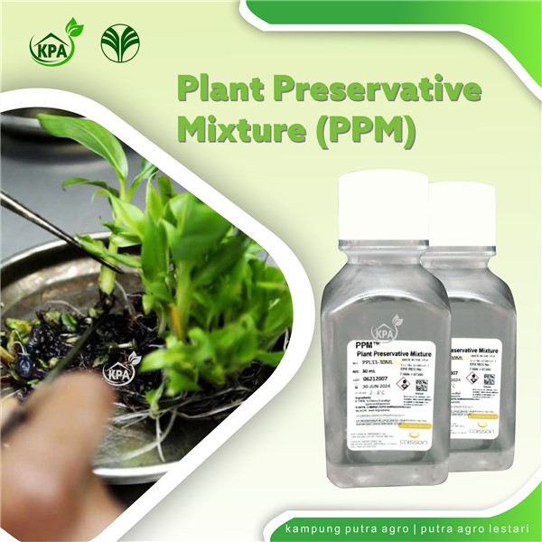 Plant Preservative Mixture [PPM] Biosida untuk Media Kultur Jaringan