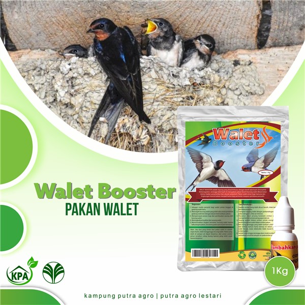 WALET BOOSTER